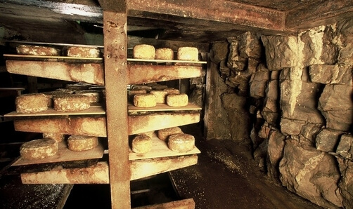 K&auml;se II - Schimmelpilze