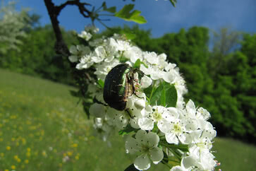 Projekt Naturschutz Begehung 03.jpg
